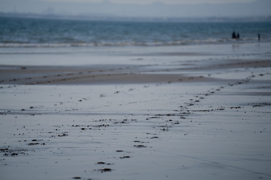 Photo ocean sounds