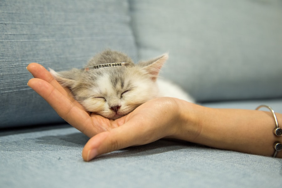 Photo sleep meditation